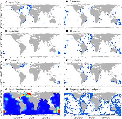 Key factors for species distribution modeling in benthic marine environments